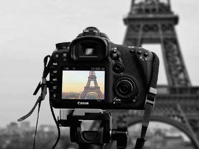 See Lea Profile and Image Collections on PicsArt