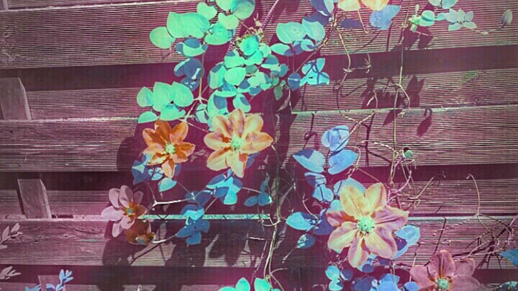 Picsart banner for @bombarding