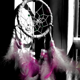 gdaddcolor pink feather dreamcatcher window