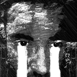 waterfall face interesting undefined